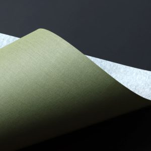 brillianta-calandré-34038-bookbinding-cloth-bookcloth-vanheektextiles2-web