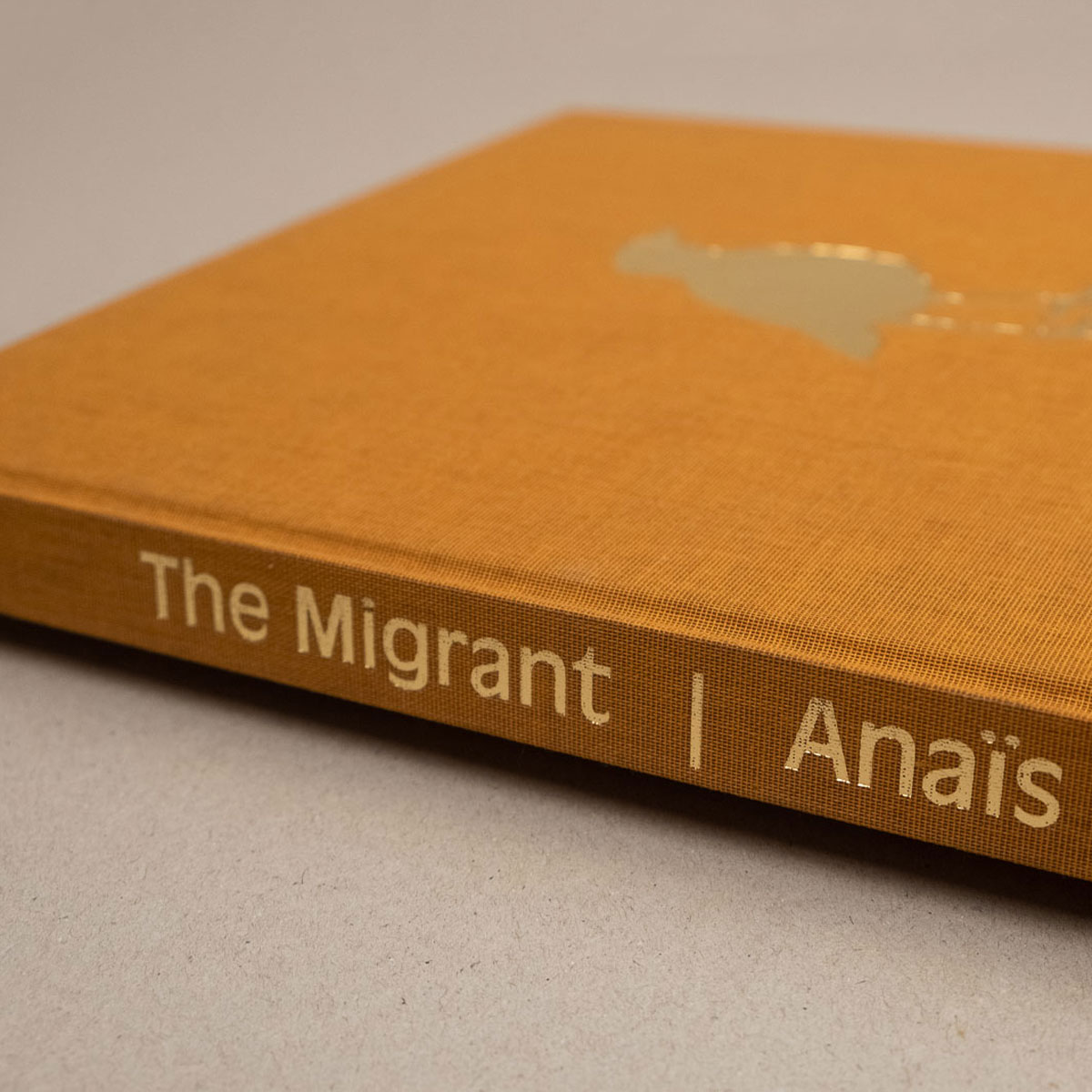 TheMigrant-AnaisLopez1200