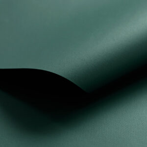 IMG_3903-Buckram-Premium-Matt-29200-web