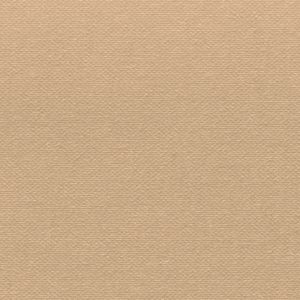 Buckram-Premium_29004-bookcloth-vanheektextiles