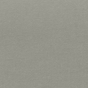 Buckram-Premium_29010-bookcloth-vanheektextiles