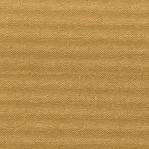 Buckram-Premium_29031-bookcloth-vanheektextiles