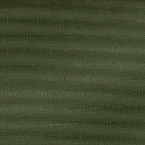 Buckram-light-12408-bookcloth-vanheektextiles