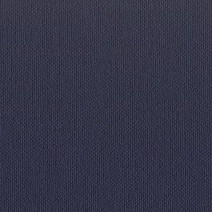Buckram_Premium_Matt_29201-bookcloth-vanheektextiles